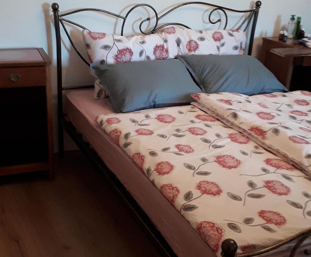 Apartament Vidin Raj Vremski Britof Zewnętrze zdjęcie
