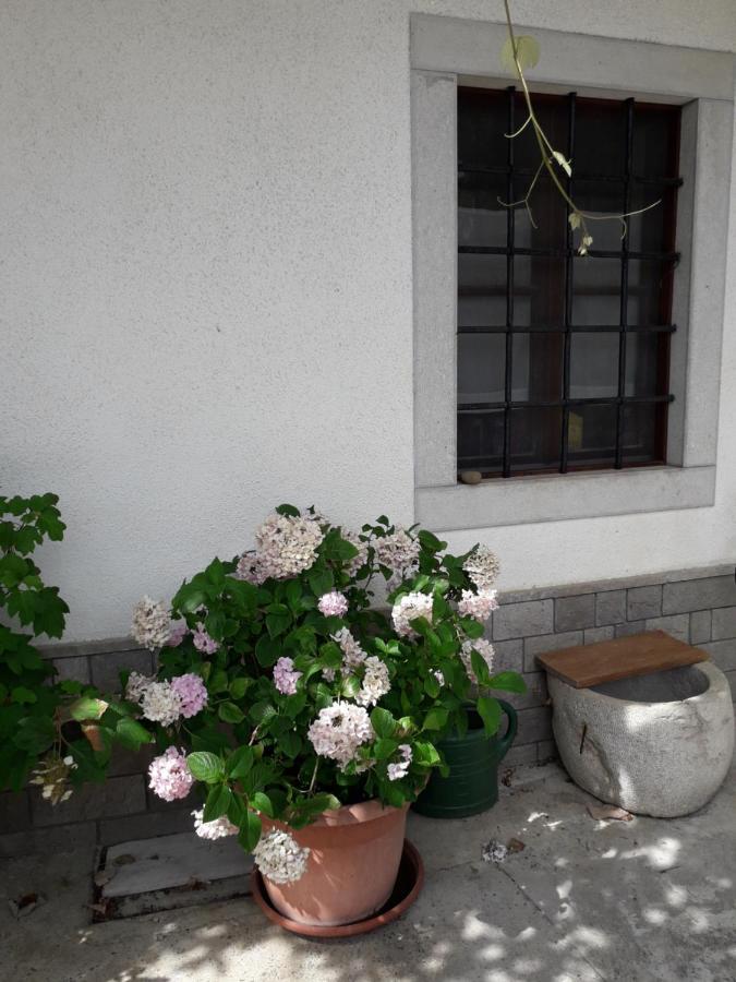 Apartament Vidin Raj Vremski Britof Zewnętrze zdjęcie